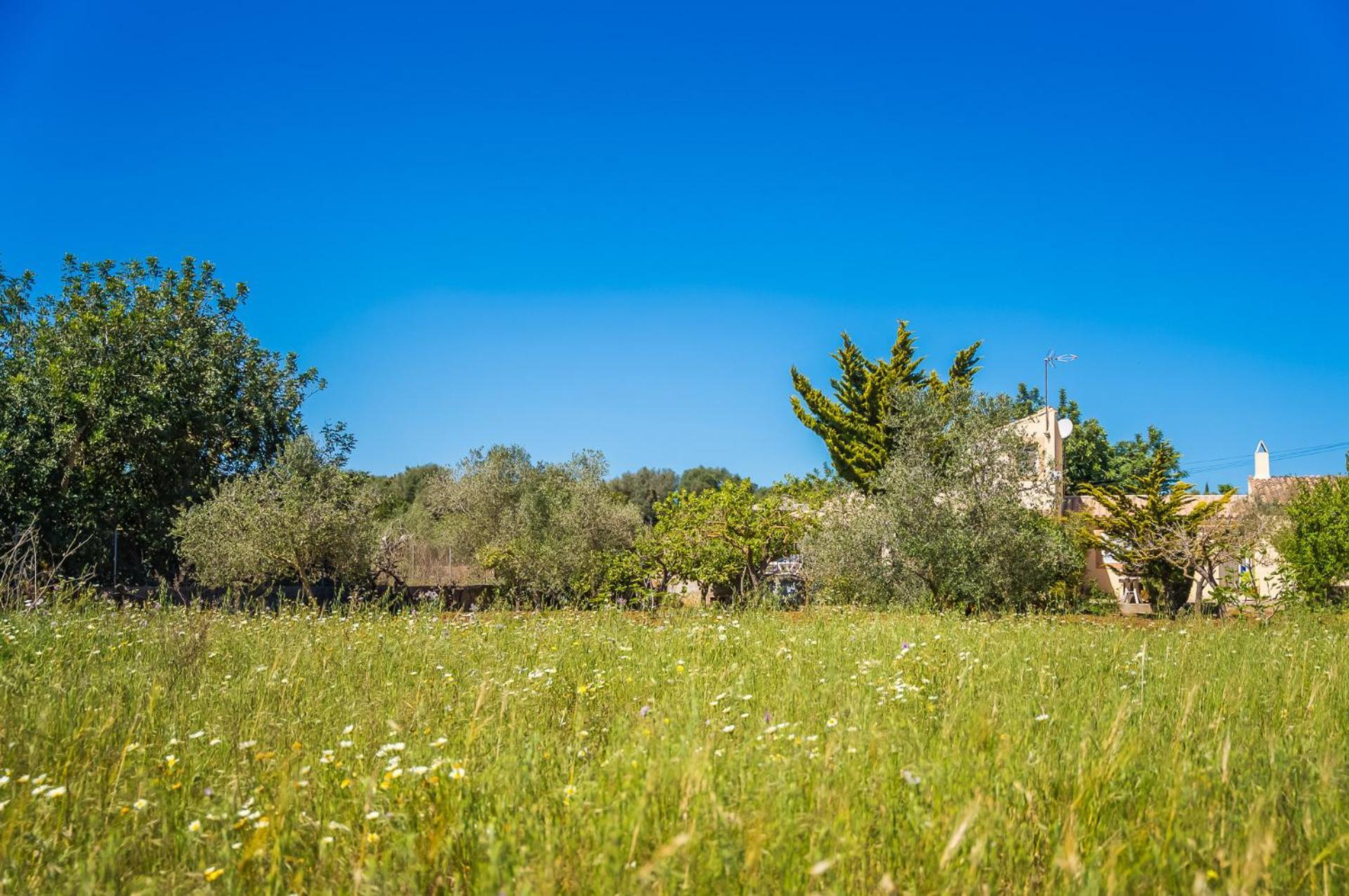 Ideal Mallorca - Es Baladre *
